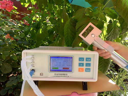  植物氣孔針有何應用？